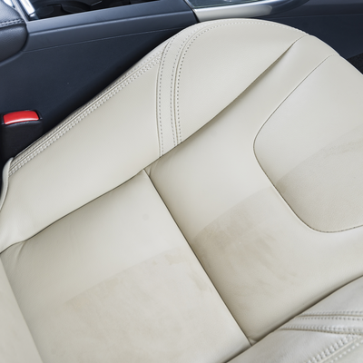 GUARDIAN LEATHER PROTECTION