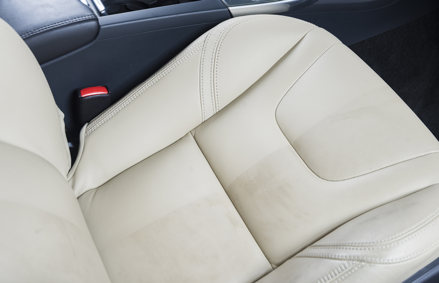 GUARDIAN LEATHER PROTECTION