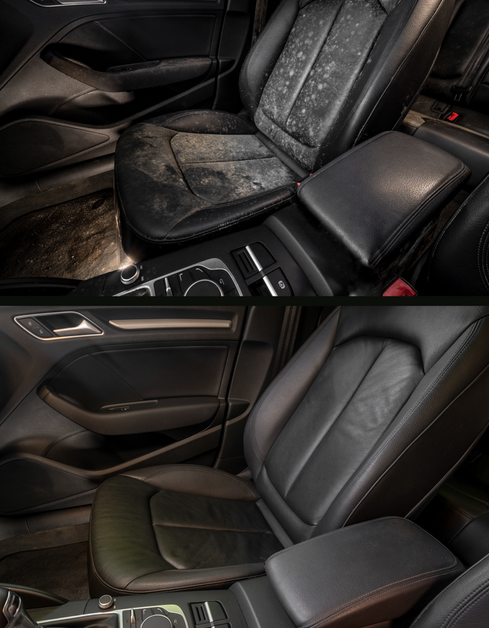 GUARDIAN LEATHER PROTECTION